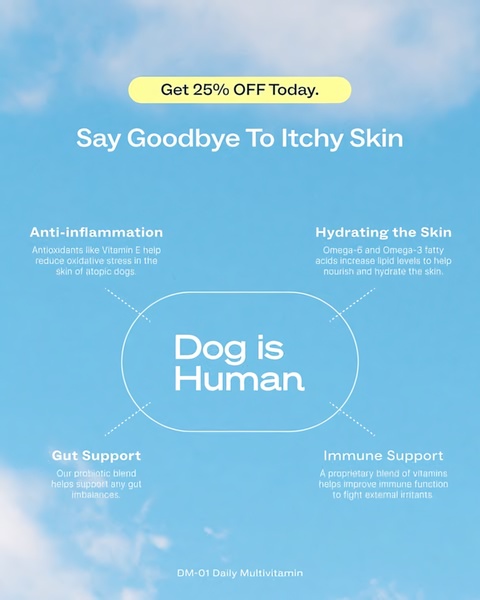 An educational ad layout that maps four key benefits to a central brand, using a clean blue sky background to communicate health and vitality.